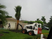 /album/services/planting-palms-1-jpeg/